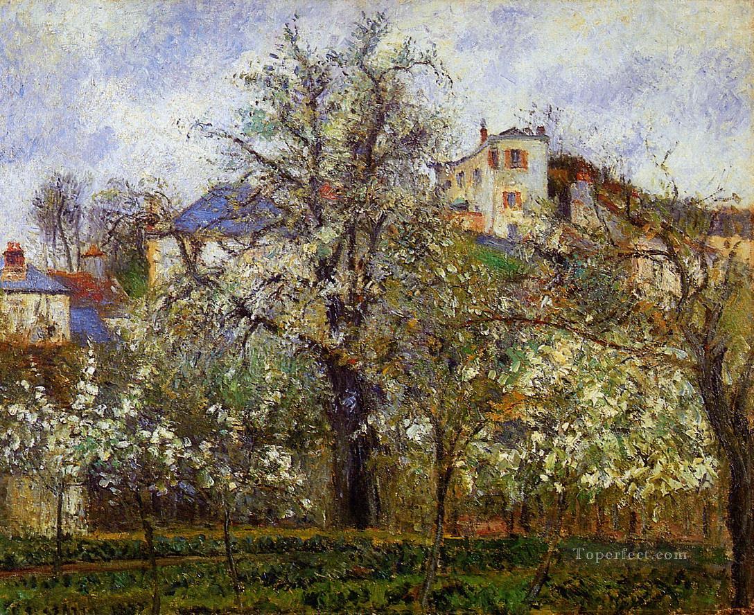 the vegetable garden with trees in blossom spring pontoise 1877 Camille Pissarro scenery Oil Paintings